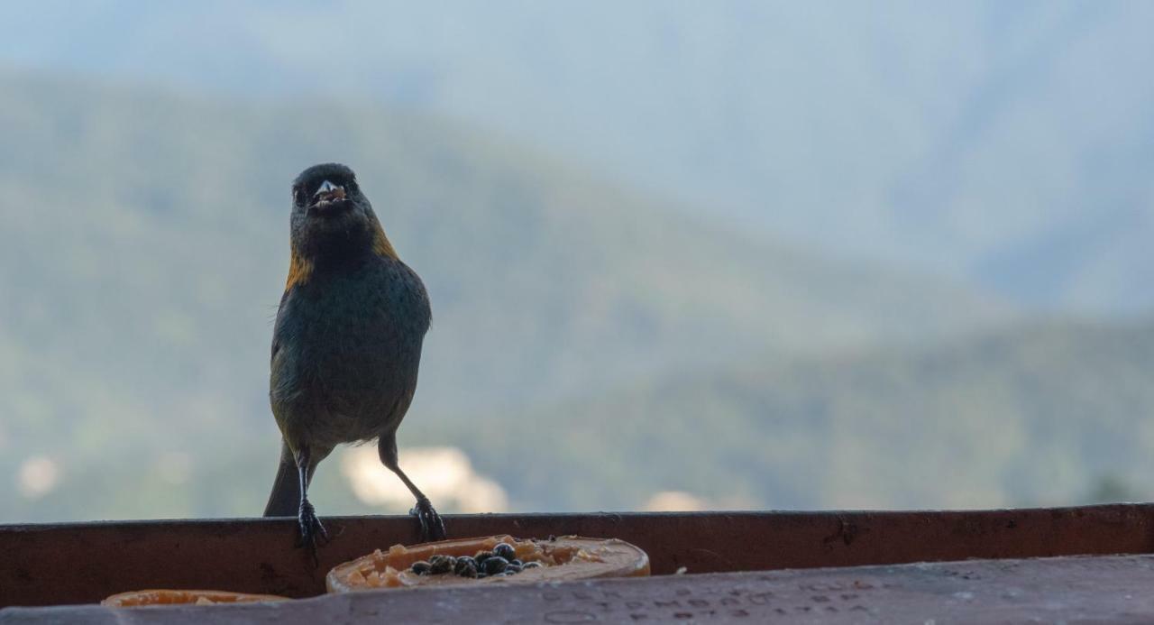 Ore Suites E Chales Ubatuba Ngoại thất bức ảnh